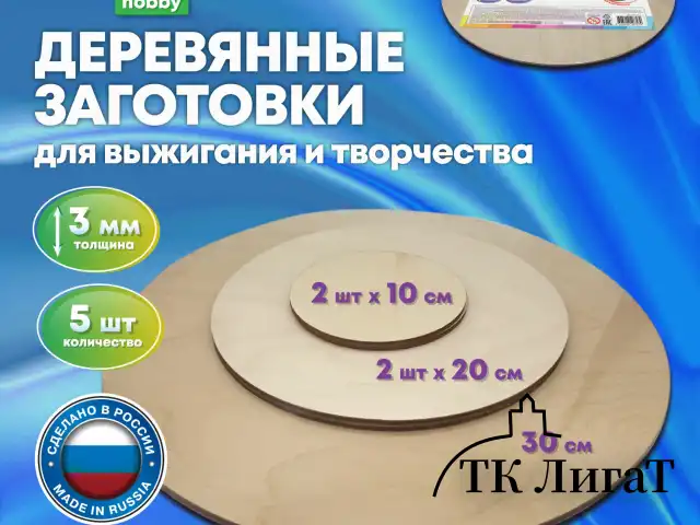 Заготовки для творчества деревянные, круглые, 5 шт., диаметр: 10-20-30 см, BRAUBERG HOBBY, 665314