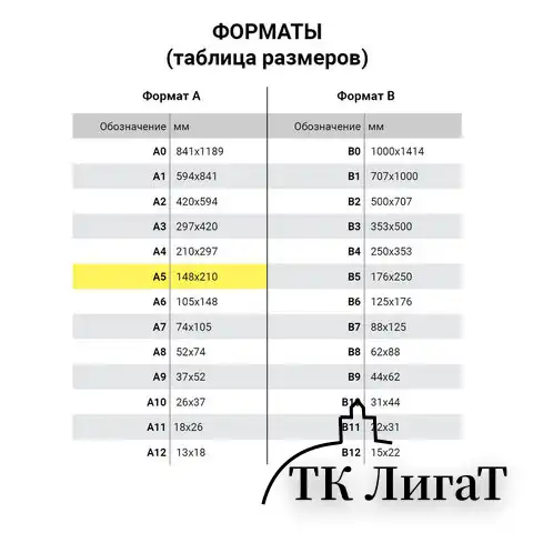 Бланк бухгалтерский типографский 