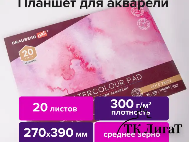 Папка для акварели/планшет, 300 г/м2, 270х390 мм, склейка, среднее зерно, 20 л., BRAUBERG ART PREMIERE, 113248