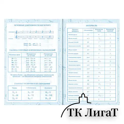 Дневник для музыкальной школы 140х210 мм, 48 л., твердый, BRAUBERG, справочный материал, 