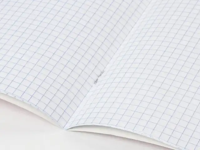 Тетрадь 18 л. BRAUBERG, клетка, обложка картон, ПОЛОСКИ ОДНОТОННЫЕ, 401856