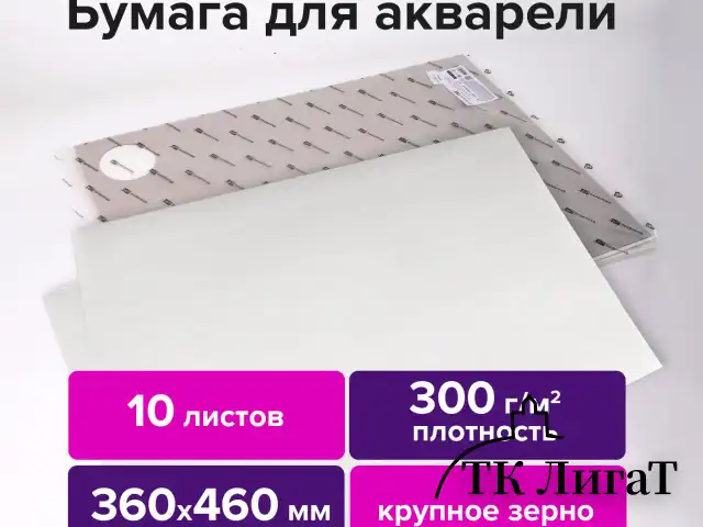 Бумага для акварели 300 г/м2 360x460 мм крупное зерно, 10 листов, BRAUBERG ART PREMIERE, 113229