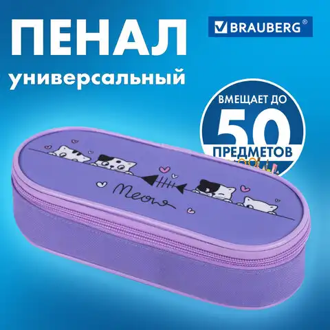 Пенал-футляр BRAUBERG, 1 отделение, органайзер, полиэстер, 22x9х5 см, Meow, 272312