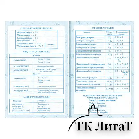 Дневник для музыкальной школы 140х210 мм, 48 л., твердый, BRAUBERG, справочный материал, 