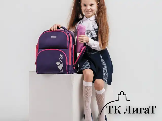 Рюкзак BRAUBERG CLASSIC, легкий каркас, премиум материал, Graceful cat, фиолетовый, 37х32х21 см, 270087