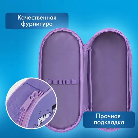 Пенал-футляр BRAUBERG, 1 отделение, органайзер, полиэстер, 22x9х5 см, Meow, 272312