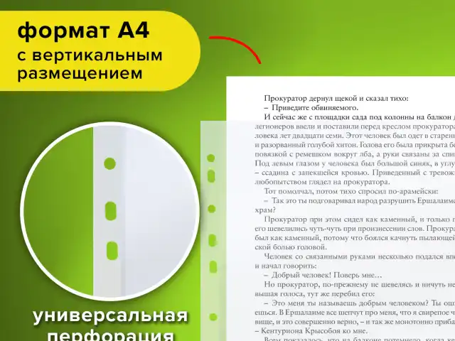 Папки-файлы перфорированные ЭКОНОМ, А4, STAFF, комплект 100 шт., матовые, 25 мкм, 226828