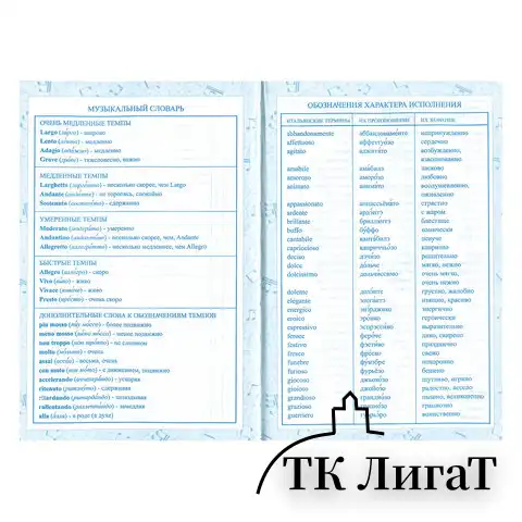 Дневник для музыкальной школы 140х210 мм, 48 л., твердый, BRAUBERG, справочный материал, 