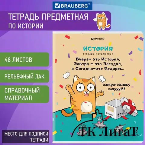 Тетрадь предметная "КОТ-ЭНТУЗИАСТ" 48 л., TWIN-лак, ИСТОРИЯ, клетка, подсказ, BRAUBERG, 404563