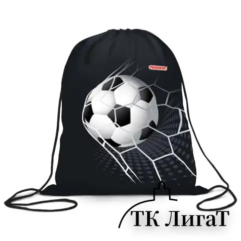 Мешок для обуви ПИФАГОР, 1 отделение, 40х32 см, Ball kick, 272386