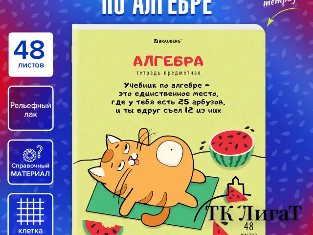 Тетрадь предметная "КОТ-ЭНТУЗИАСТ" 48 л., TWIN-лак, АЛГЕБРА, клетка, подсказ, BRAUBERG, 404556