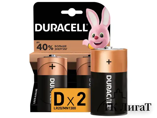 Батарейки DURACELL Basic, D (LR20, 13А), алкалиновые, КОМПЛЕКТ 2 шт., в блистере, MN 1300D LR20