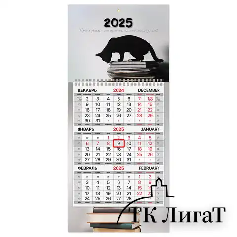 Календарь квартальный на 2025 г., 1 блок, 1 гребень, с бегунком, МИНИ, офсет, BRAUBERG, 