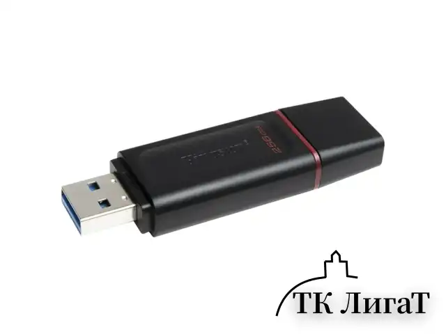 Флеш-диск 256GB KINGSTON DataTraveler Exodia, разъем USB 3.2, черный/розовый, DTX/256GB