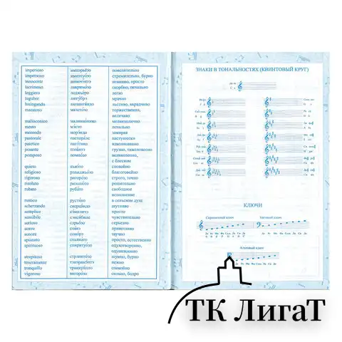 Дневник для музыкальной школы 140х210 мм, 48 л., твердый, BRAUBERG, справочный материал, 