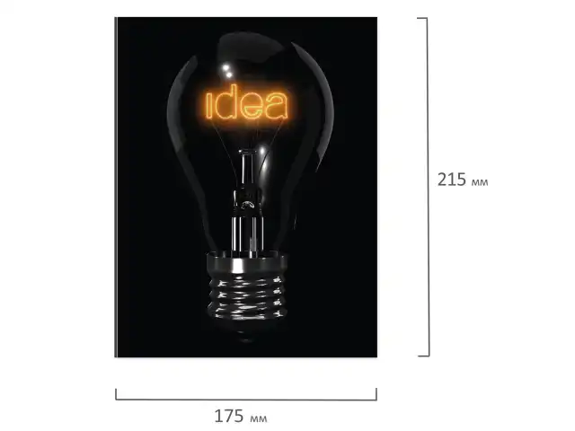 Тетрадь на кольцах А5 (165х215 мм), 160 листов, твердый картон, клетка, BRAUBERG, Idea, 404091