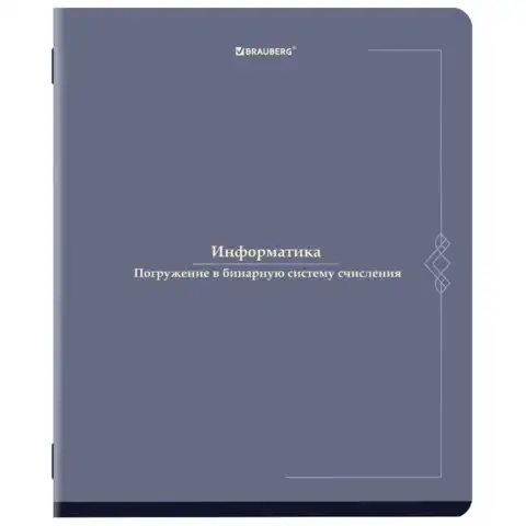 Тетрадь предметная VINTAGE 48 л., SoftTouch, ИНФОРМАТИКА, клетка, подсказ, BRAUBERG, 405154