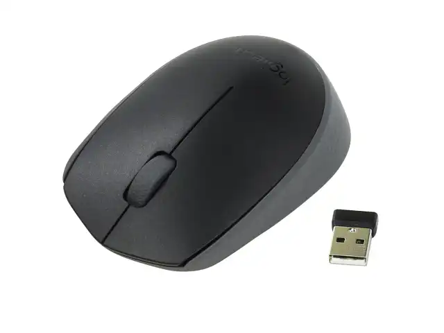 Мышь беспроводная LOGITECH M171, 2 кнопки + 1 колесо-кнопка, оптическая, черная, 910-004424