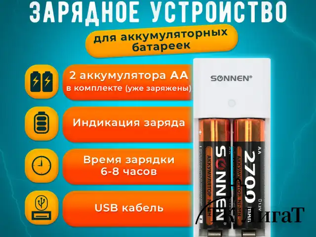 Зарядное устройство SONNEN BC2/2700, для 2-х аккумуляторов АА или ААА (Ni-Mh), в картонной коробке, 454239