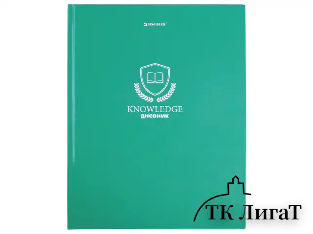 Дневник 5-11 класс 48 л., твердый, BRAUBERG, глянцевая ламинация, с подсказом, "Knowledge", 106632