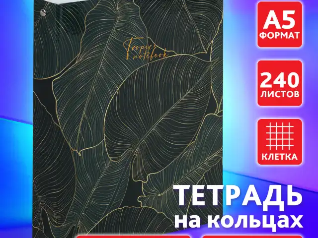 Тетрадь на кольцах А5 (175х215 мм), 240 листов, твердый картон, клетка, с разделителями, BRAUBERG, Листья, 404099