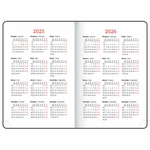 Ежедневник датированный 2025 А5 138х213мм BRAUBERG Pocket,под кожу, карм, держатель для ручки, коричневый, 115908