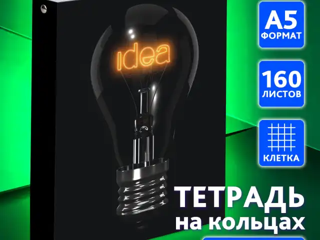 Тетрадь на кольцах А5 (165х215 мм), 160 листов, твердый картон, клетка, BRAUBERG, Idea, 404091