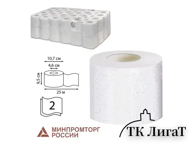 Бумага туалетная 25 м, VEIRO Professional (Система T4), КОМПЛЕКТ 48 шт., Comfort, 2-слойная, T207