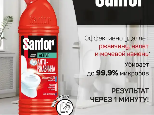 Чистящее средство 750 г, SANFOR Activ (Санфор Актив) 