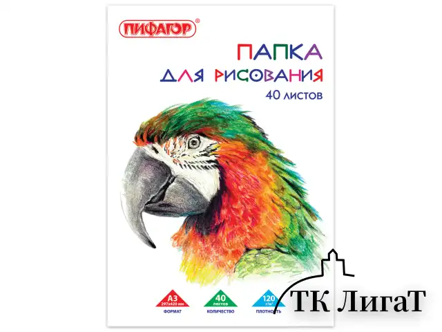 Папка для рисования БОЛЬШОГО ФОРМАТА А3, 40 л., 120 г/м2, ПИФАГОР, 297х420 мм, "Попугай", 129219