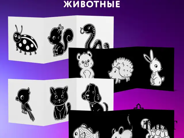 Карточки для новорожденных 6 книжек-гармошек ДЛЯ РАЗВИТИЯ ЗРЕНИЯ С ПЕЛЕНОК, ЮНЛАНДИЯ, 691023