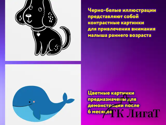 Карточки для новорожденных 6 книжек-гармошек ДЛЯ РАЗВИТИЯ ЗРЕНИЯ С ПЕЛЕНОК, ЮНЛАНДИЯ, 691023