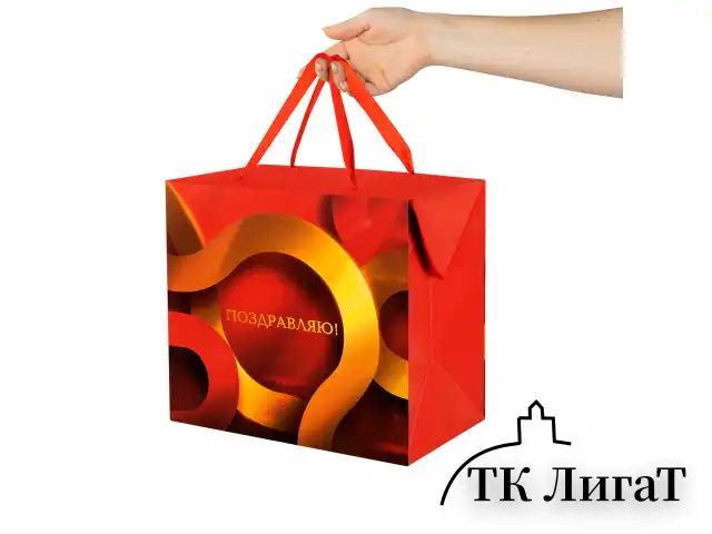 Пакет-коробка подарочный (1 штука) "Поздравляю", 22,5х13,5х20 см, тиснение фольгой, ламинация, 90081