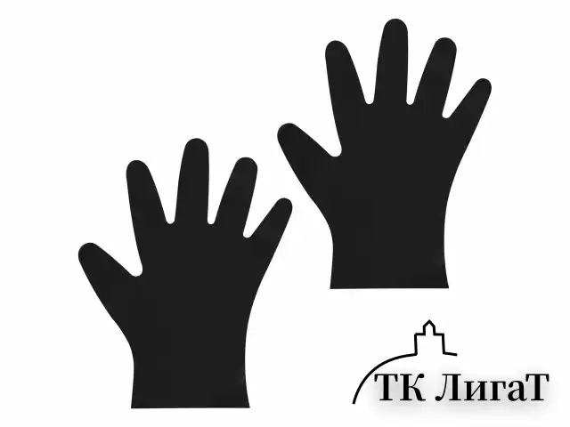 Перчатки одноразовые эластомер TPE, КОМПЛЕКТ 50 пар (100 шт.), L (большие), черные, ELEGREEN, ГППVTЭлЧ-L