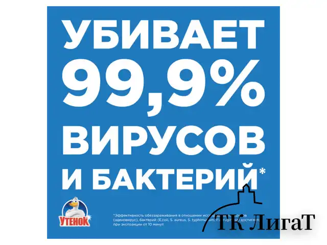 Средство для чистки сантехники 520 мл, ТУАЛЕТНЫЙ УТЕНОК "Экспресс-уборка", распылитель, 865016