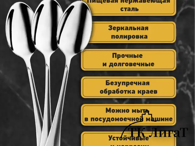 Ложки столовые STANDARD КОМПЛЕКТ 6 шт., полированная нержавеющая сталь, серебристые, ПАКЕТ, DASWERK, 881143, 609077