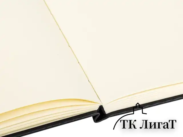 Скетчбук, слоновая кость 140 г/м2 200х200 мм, 80 л., КОЖЗАМ, резинка, BRAUBERG ART CLASSIC, черный, 113196