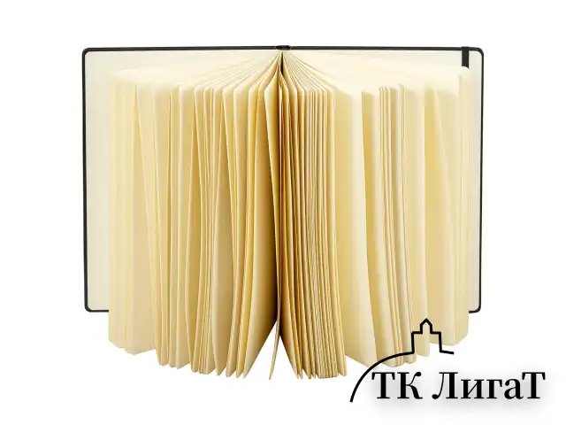 Скетчбук, слоновая кость 140 г/м2 210х297 мм, 80 л., КОЖЗАМ, резинка, BRAUBERG ART CLASSIC, черный, 113200