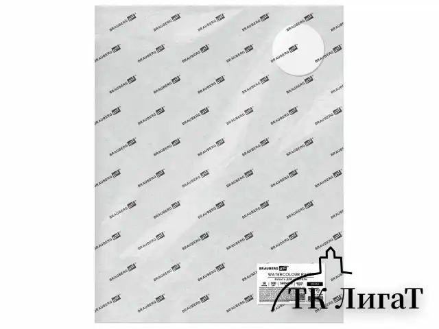Бумага для акварели 300 г/м2 360x460 мм крупное зерно, 10 листов, BRAUBERG ART PREMIERE, 113229