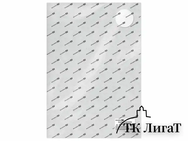 Бумага для акварели 300 г/м2 460x660 мм крупное зерно, 10 листов, BRAUBERG ART PREMIERE, 113234