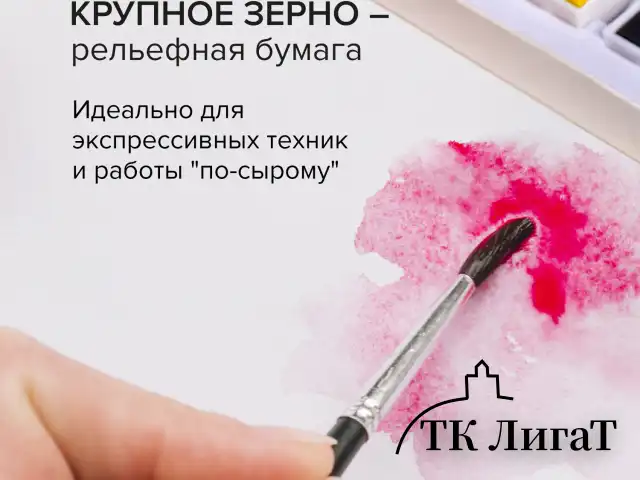 Бумага для акварели 300 г/м2 560x760 мм крупное зерно, 10 листов, BRAUBERG ART PREMIERE, 113239