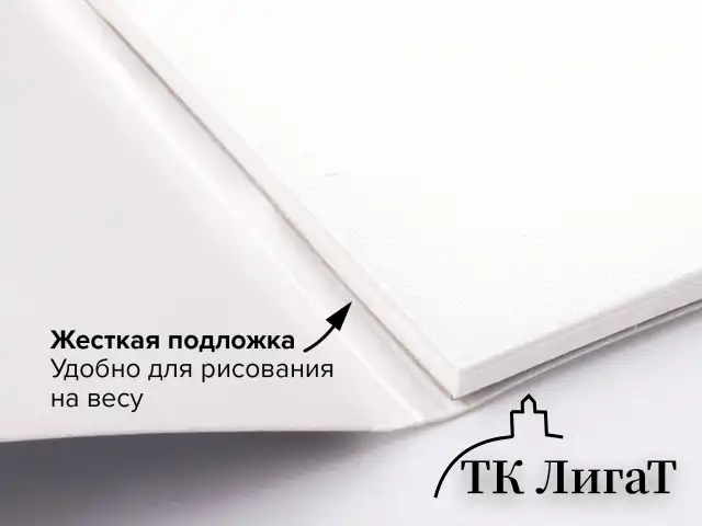 Папка для акварели/планшет, 300 г/м2, 270х390 мм, склейка, крупное зерно, 20 л., BRAUBERG ART PREMIERE, 113250