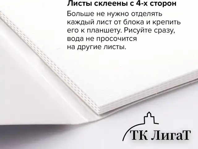 Папка для акварели/планшет, 300 г/м2, 270х390 мм, склейка, крупное зерно, 20 л., BRAUBERG ART PREMIERE, 113250