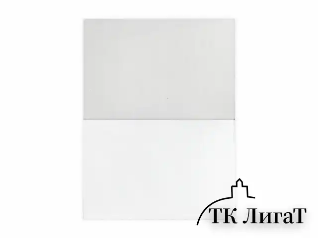 Папка для акварели/планшет, 300 г/м2, 270х390 мм, склейка, крупное зерно, 20 л., BRAUBERG ART PREMIERE, 113250
