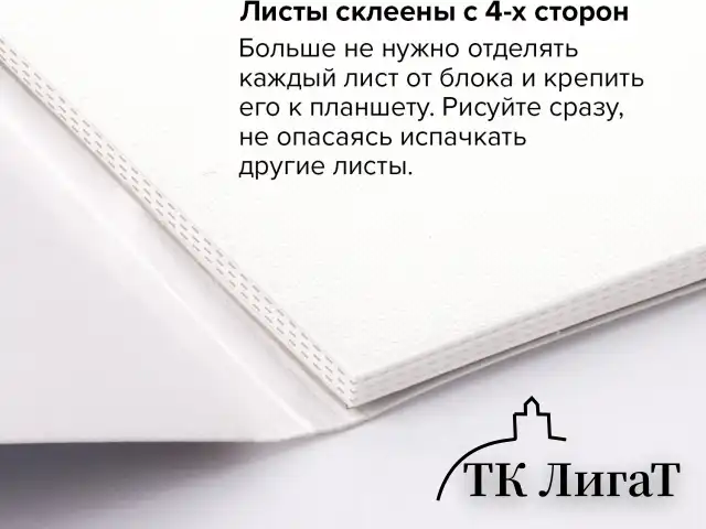 Альбом для акрила и масла, 300 г/м2, 270х390 мм, 10 листов, склейка, тиснение "холст", BRAUBERG ART PREMIERE, 113268