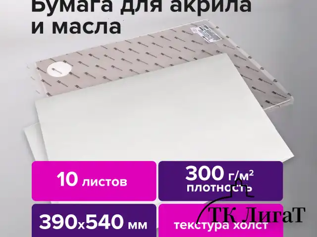 Бумага для акриловых и масляных красок, 300 г/м2, 390x540 мм, 10 листов, BRAUBERG ART PREMIERE, 113269