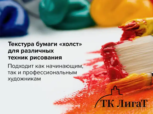 Бумага для акриловых и масляных красок, 300 г/м2, 390x540 мм, 10 листов, BRAUBERG ART PREMIERE, 113269
