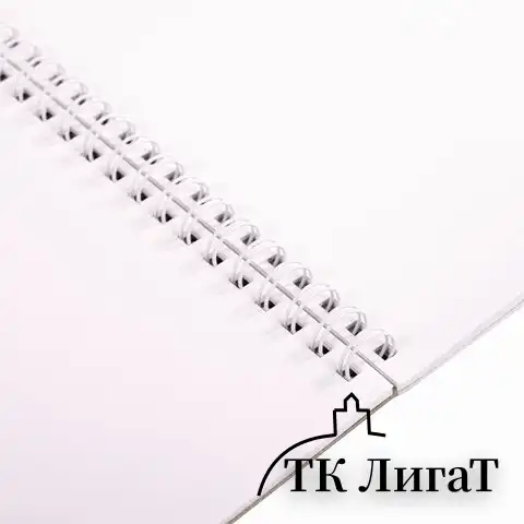 Скетчбук, каменная бумага 245 г/м2, 170х195 мм, 20 л., гребень, подложка, холодная фольга, "Звезда", 98603
