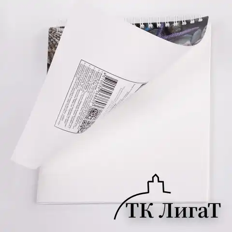 Скетчбук, каменная бумага 245 г/м2, 170х195 мм, 20 л., гребень, подложка, холодная фольга, "Звезда", 98603