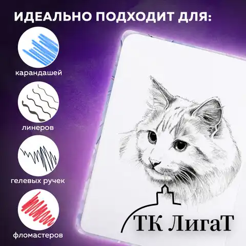 Скетчбук, белая бумага 80 г/м2, 145х203 мм, 80 л., резинка, твердый, BRAUBERG ART DEBUT "Аниме", 114578